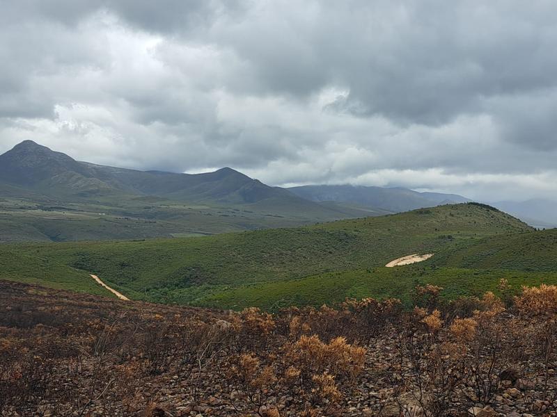 0 Bedroom Property for Sale in Kareedouw Eastern Cape